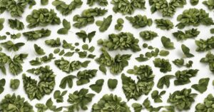 Domowe sposoby na ćmę bukszpanową - skuteczne metody na pozbycie się larw