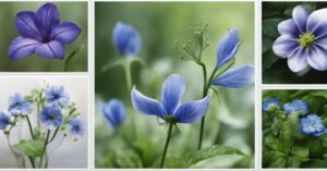 Niebieskie kwiaty do ogrodu: Najpiękniejsze rośliny kwitnące na niebiesko