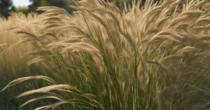 Aranżacje ogrodu z trawami ozdobnymi: pomysły i inspiracje na ogród marzeń