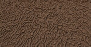 Litr ziemi ile to kg? Przelicznik wagi ziemi ogrodowej - dowiedz się więcej