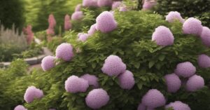 Krzewy kwitnące całe lato: wieloletnie rośliny na ogród od wiosny do jesieni