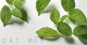 Jak suszyć miętę w domu: efektywne metody suszenia i przechowywania ziół