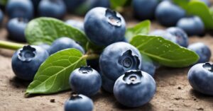 Kiedy nawozić borówki i czym nawozić borówkę amerykańską wiosną?