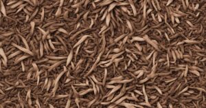 Czy pod korę dawać agrowłókninę? Zastosowanie i zalety w ogrodzie